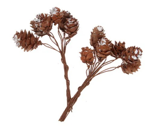 Deco, Pinecone with snow
